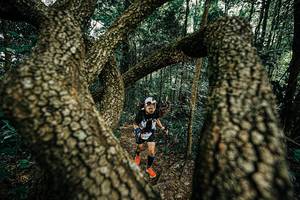 BIB: 
                            <button type="button" onclick="openModal(25392905)" class="btn btn-primary btn-sm float-right btn-popup" data-toggle="modal" data-target=".modal-high-quality">
                        <i class="fas fa-shopping-cart"></i> Add to Cart
                    </button>
                                            <button type="button" onclick="isThisMe(25392905, true)" class="btn btn-success btn-sm float-right btn-popup btn-isme hidden" data-toggle="tooltip" data-placement="bottom" title="นี่คือรูปของคุณใช่ไหม คลิกที่นี่เพื่อเอาเข้าอัลบั้ม">
                        <i class="fas fa-plus"></i> Add to album
                    </button>
                    <button type="button" onclick="isThisMe(25392905, false)" class="btn btn-warning btn-sm float-right btn-popup btn-isnotme hidden">
                        <i class="fas fa-ban"></i> Remove from album
                    </button>